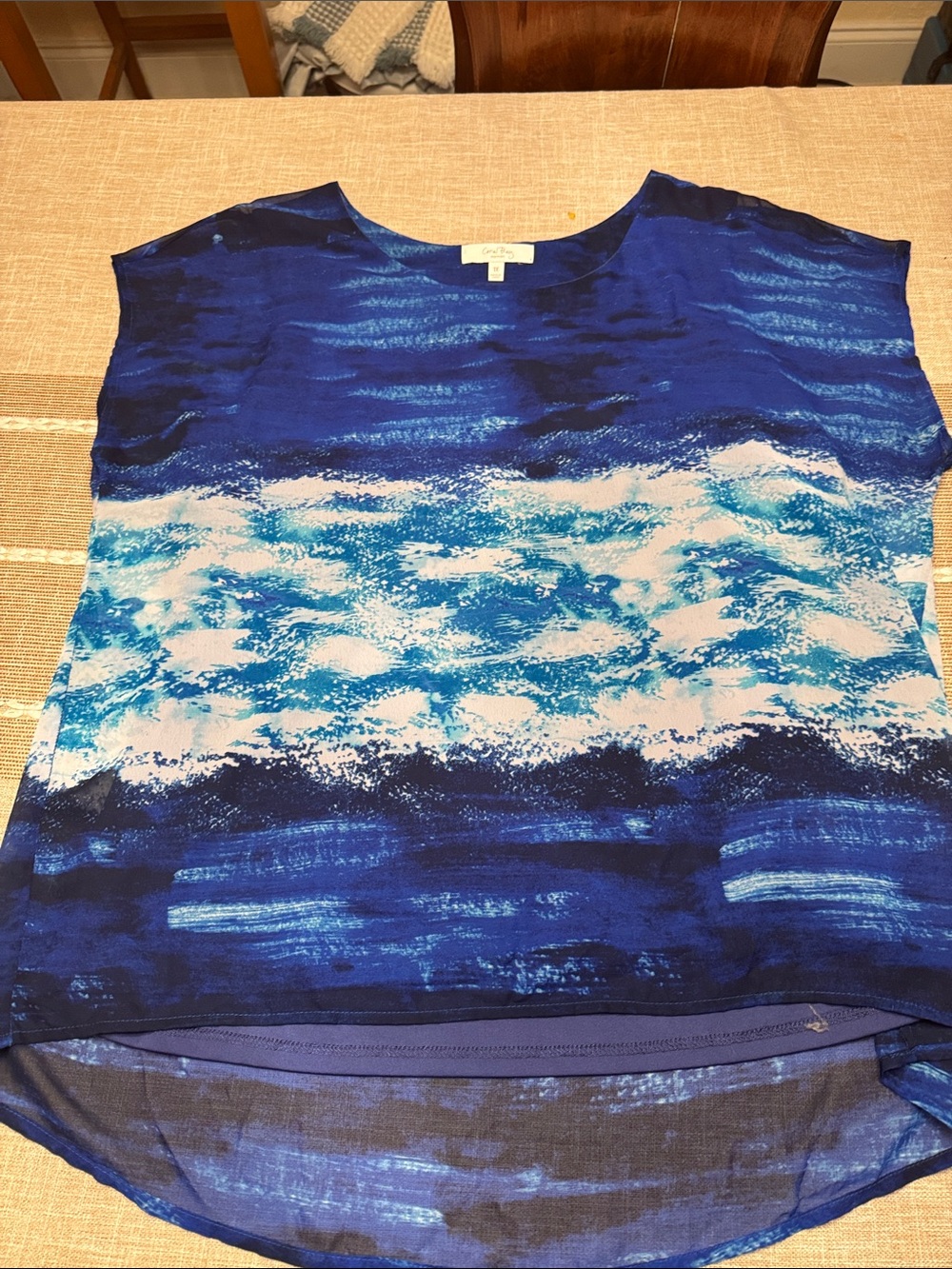 Coral Bay Ocean Wave Print Tunic in Blue and White
